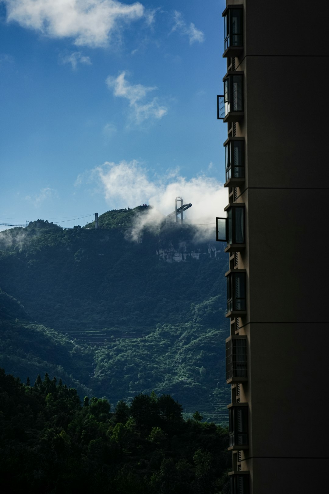 Mountain View Premium